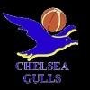 https://img.jisuzhiboa.com.cn/img/basketball/team/0d36b73786230e17d7d718ab10adab87.png