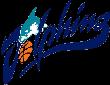 https://img.jisuzhiboa.com.cn/img/basketball/team/b49d4e6c00b446698132550f3e3c2c50.png