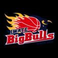 https://img.jisuzhiboa.com.cn/img/basketball/team/bcb478f91fa9177647848bc08ccc209c.png