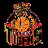 https://img.jisuzhiboa.com.cn/img/basketball/team/c396165af2b9468b95db1864473952bb.png