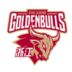 https://img.jisuzhiboa.com.cn/img/basketball/team/d1d77f07287fe840a7e77459e5bd1bfc.png
