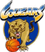 https://img.jisuzhiboa.com.cn/img/basketball/team/dfbc8a7d044c44b6986f4490a735959b.gif