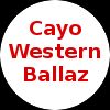 https://img.jisuzhiboa.com.cn/img/basketball/team/f9030708ce294e999d51fe25f2faf591.png