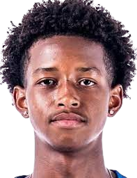 https://img.jisuzhiboa.com.cn/img/football/player/0678f02075e3d5e8c48f6e8c18a23239.png