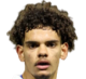 https://img.jisuzhiboa.com.cn/img/football/player/19198e45f81a0add4651fdb6197a3d8c.png