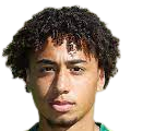 https://img.jisuzhiboa.com.cn/img/football/player/347a6d58ae7ec0425a4d42bc9215c411.png