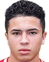 https://img.jisuzhiboa.com.cn/img/football/player/d95054a0e727f334463fc369b55f13a2.png