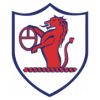https://img.jisuzhiboa.com.cn/img/football/team/11fb72f7b5eacfc881ee11bac75871fa.png