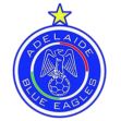 https://img.jisuzhiboa.com.cn/img/football/team/8363baf7f19dca845581f1d64de9908c.png
