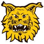 https://img.jisuzhiboa.com.cn/img/football/team/9f170a9ffc15b4141b790f4ff042cc51.png
