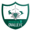 https://img.jisuzhiboa.com.cn/img/football/team/a9951de2e1f528db33c65d9dac65ed4b.png