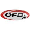 https://img.jisuzhiboa.com.cn/img/football/team/be70130b180875a576e98a5a33c8238a.png