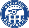 https://img.jisuzhiboa.com.cn/img/football/team/c57774951b3b354cd3d1e0237087a661.png