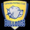 https://img.jisuzhiboa.com.cn/img/football/team/da8bfcabb427caa8c01fbb244a1f77aa.png